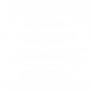 Logo d'une voiture blanc